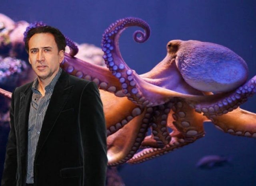 10 weird celebrity animals