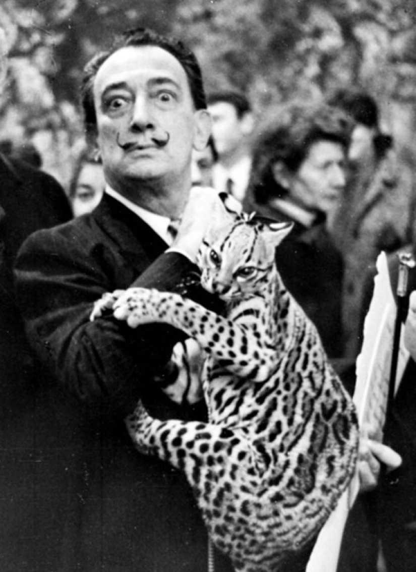 10 weird celebrity animals