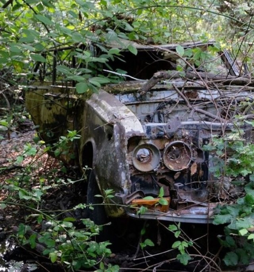 11 fotos de lugares donde la naturaleza ha recuperado el control 11 fotos de lugares donde la naturaleza ha recuperado el control