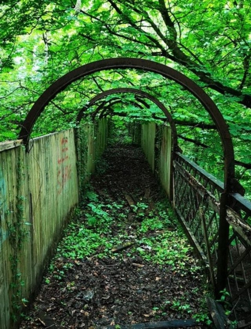 11 fotos de lugares donde la naturaleza ha recuperado el control 11 fotos de lugares donde la naturaleza ha recuperado el control