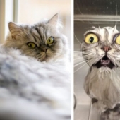 11 fotos que demuestran que Corea del Sur es un mundo completamente diferente con sus propias reglas