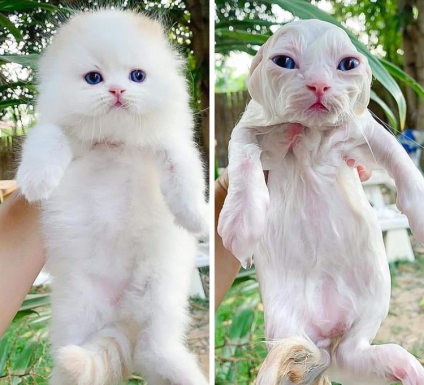 11 fotos que demuestran que Corea del Sur es un mundo completamente diferente con sus propias reglas 11 fotos que demuestran que Corea del Sur es un mundo completamente diferente con sus propias reglas