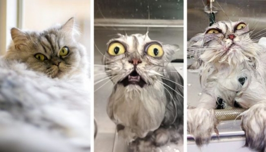 11 fotos que demuestran que Arnold Schwarzenegger no es solo una estrella, es un padre fabuloso