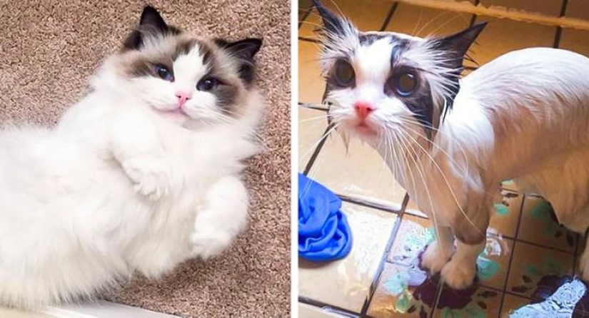 11 fotos que demuestran que Corea del Sur es un mundo completamente diferente con sus propias reglas 11 fotos que demuestran que Corea del Sur es un mundo completamente diferente con sus propias reglas