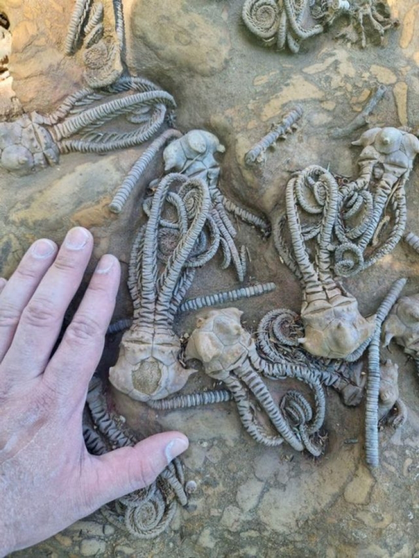 11 people showed us the other side of life, which not everyone saw