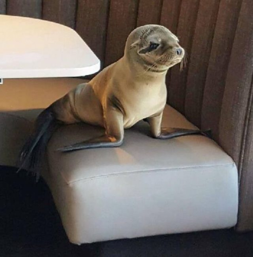 11 people showed us the other side of life, which not everyone saw