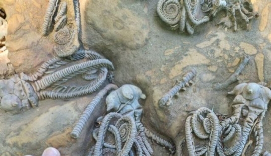 11 people showed us the other side of life, which not everyone saw