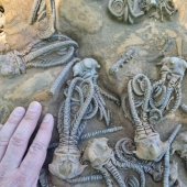 11 personas nos mostraron el otro lado de la vida, que no todos vieron