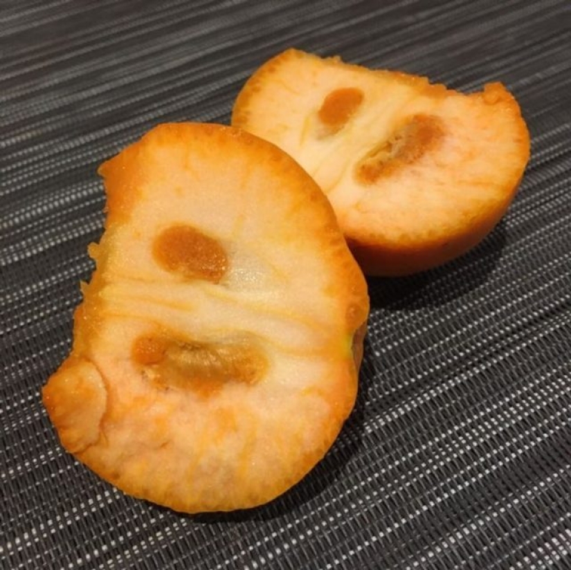 11 personas nos mostraron el otro lado de la vida, que no todos vieron