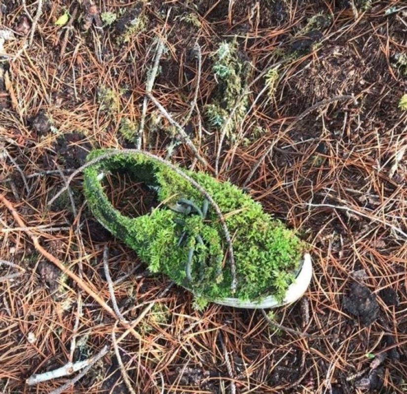 11 photos of places where nature took control 11 photos of places where nature took control