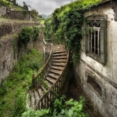 11 photos of places where nature took control