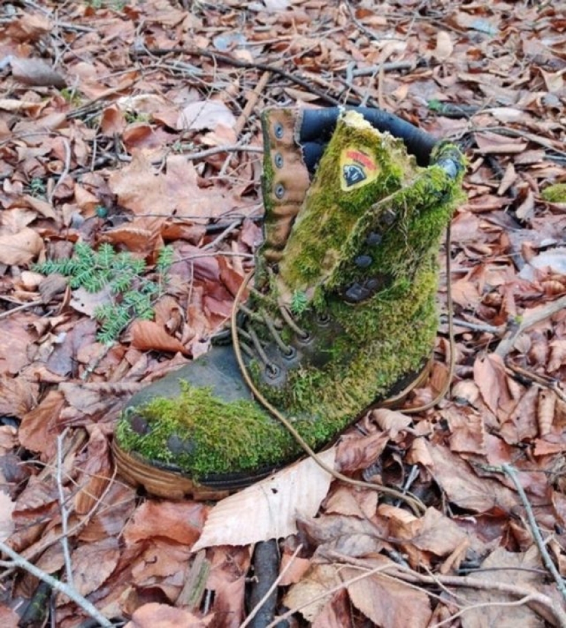 11 photos of places where nature took control 11 photos of places where nature took control