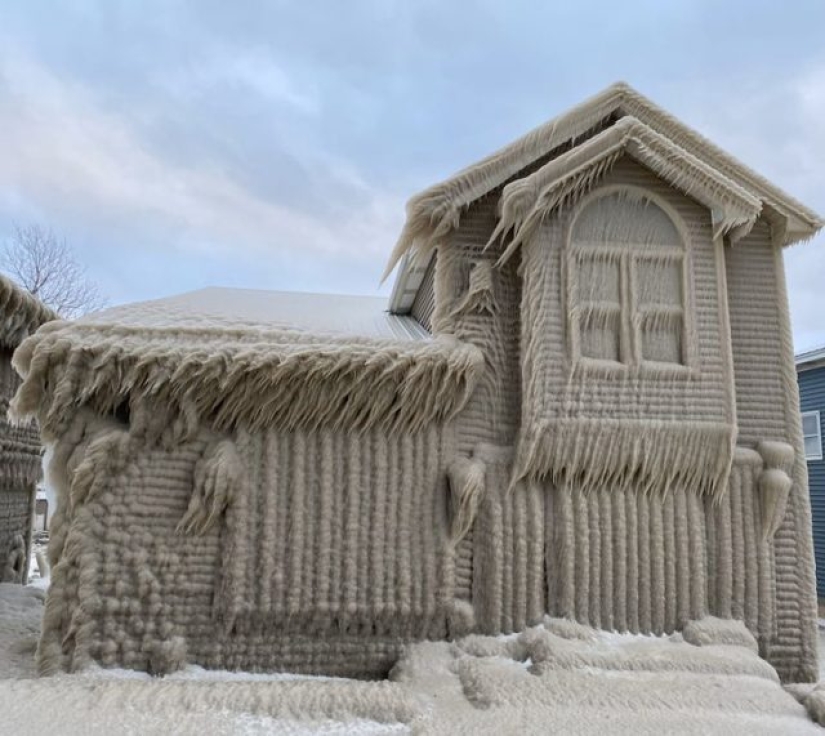 11 photos of places where nature took control 11 photos of places where nature took control