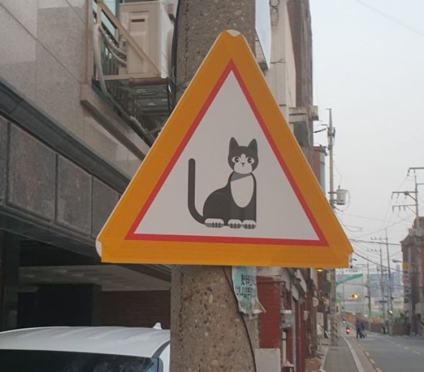 11 photos proving South Korea is a completely different world with its own rules 11 photos proving South Korea is a completely different world with its own rules