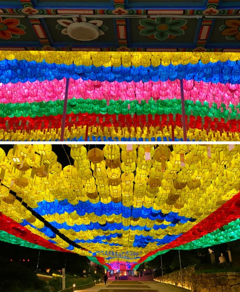 11 photos proving South Korea is a completely different world with its own rules 11 photos proving South Korea is a completely different world with its own rules