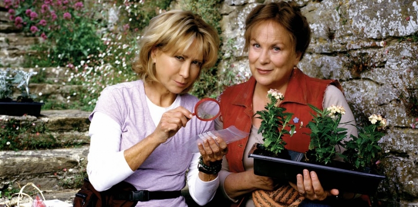 11 TV series about women leading investigations 11 TV series about women leading investigations