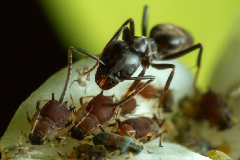 12 behaviors that humans and animals unknowingly share