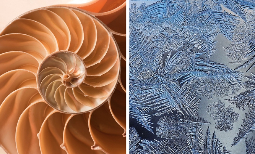 12 formas sencillas de aliviar el estrés 12 formas sencillas de aliviar el estrés