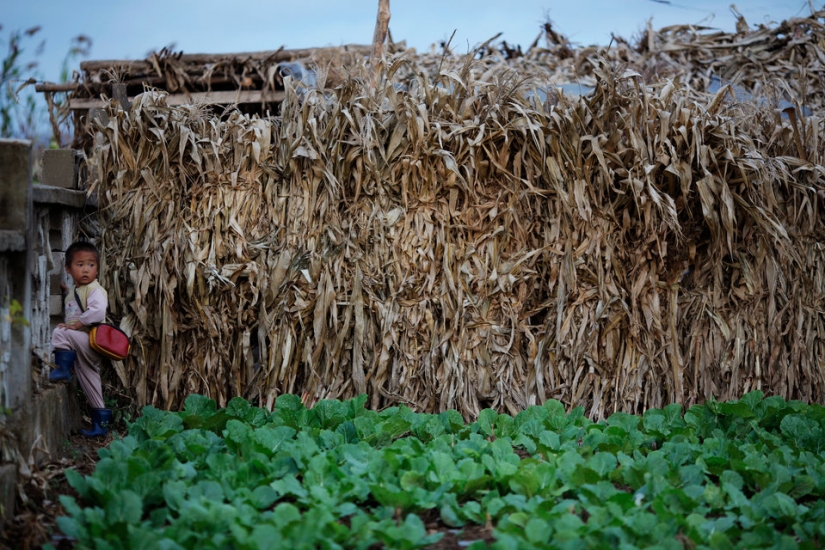 12 fotos de Corea del Norte que a Kim Jong-un no le gustaría mostrar 12 fotos de Corea del Norte que a Kim Jong-un no le gustaría mostrar