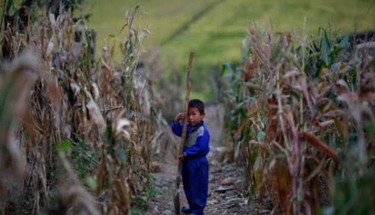 12 fotos de Corea del Norte que a Kim Jong-un no le gustaría mostrar 12 fotos de Corea del Norte que a Kim Jong-un no le gustaría mostrar