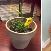 12 gadgets under $ 50 that can change your home for the better