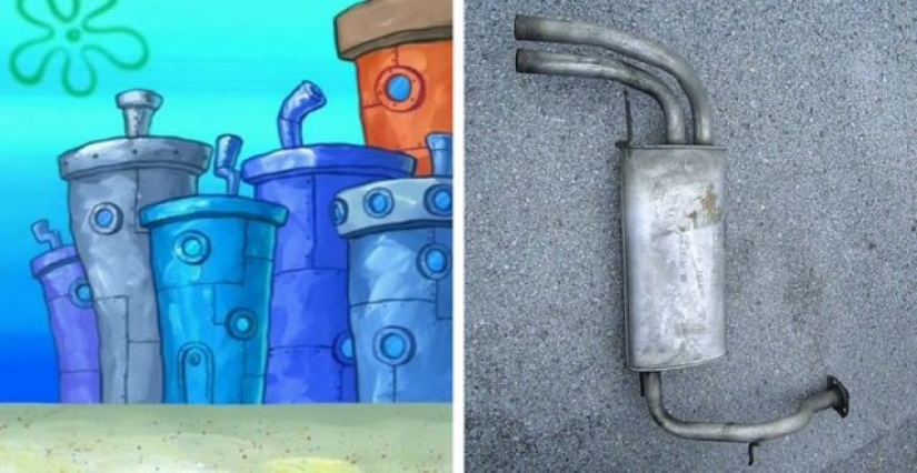 12 interesting facts that have completely changed our presentation of the world