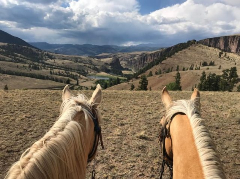 12 people showed the other side of their work 12 people showed the other side of their work