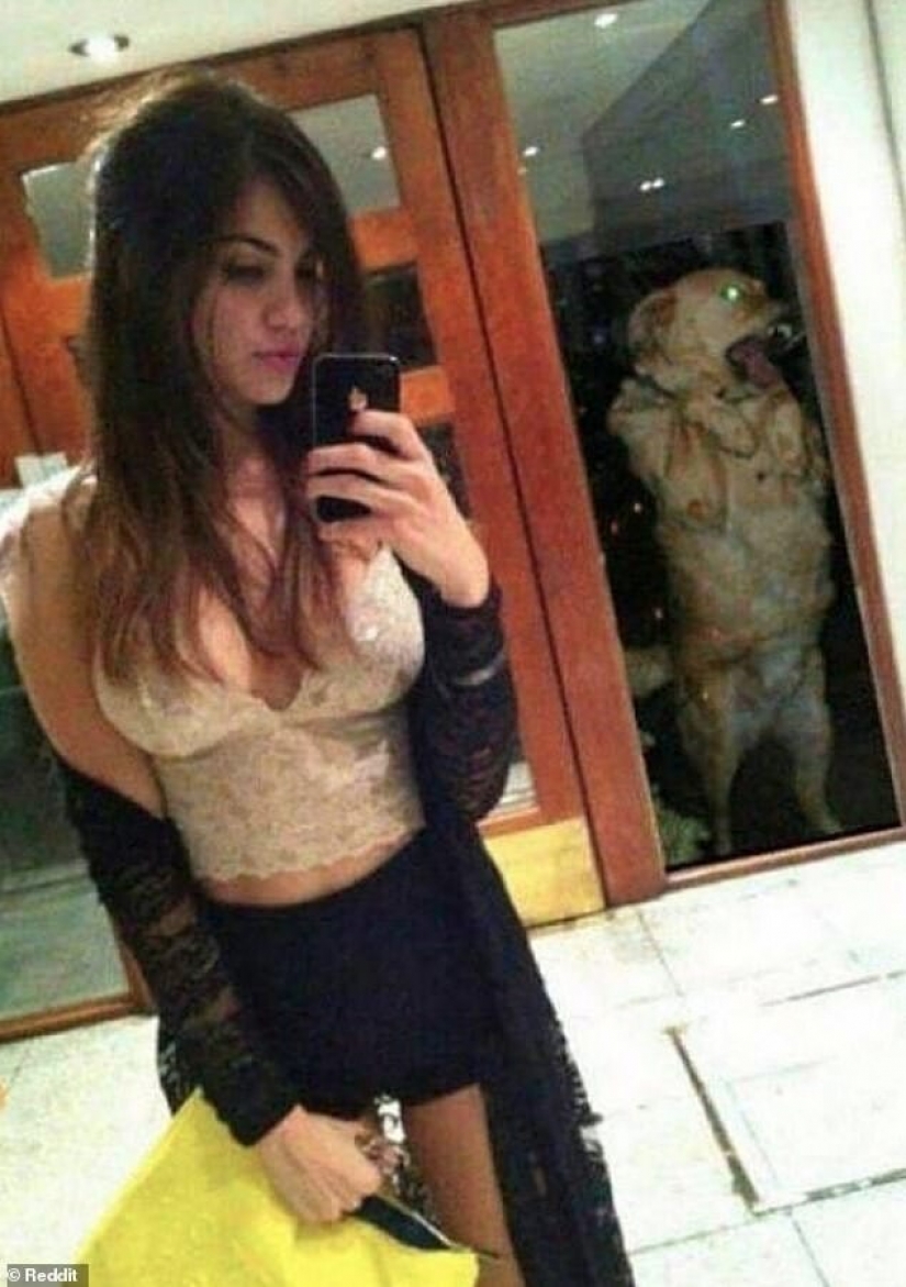 12 personas que querían tomar una selfie con estilo, pero consiguieron un adelanto de donde no esperaban 12 personas que querían tomar una selfie con estilo, pero consiguieron un adelanto de donde no esperaban