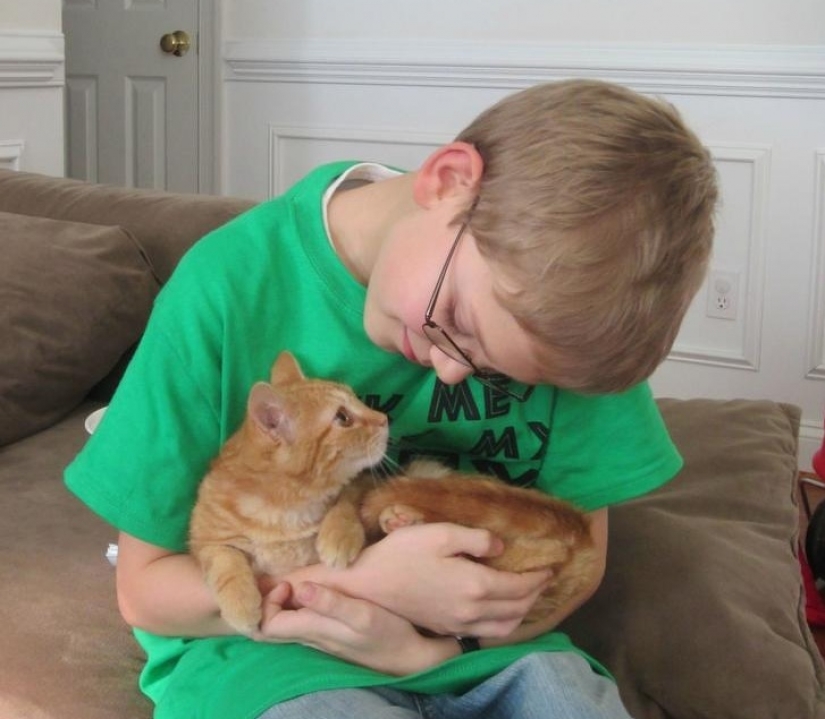 12 pets that are so shy that they make us want to hug them