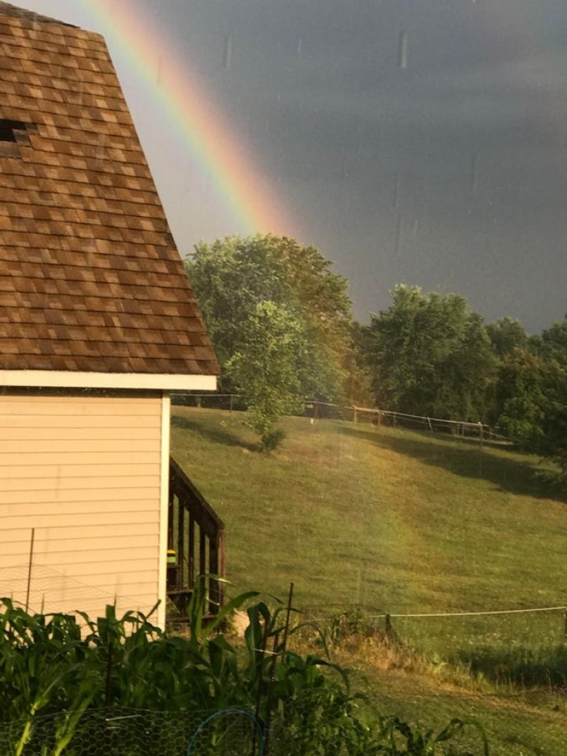 12 photos that are hard to believe they are real 12 photos that are hard to believe they are real