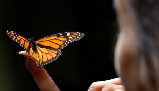 12 signs we're in the middle of the 6th mass extinction 12 signs we're in the middle of the 6th mass extinction