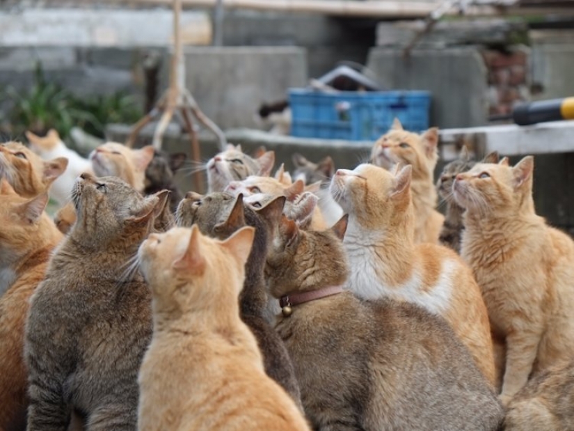 12 strangest places in the world you can visit