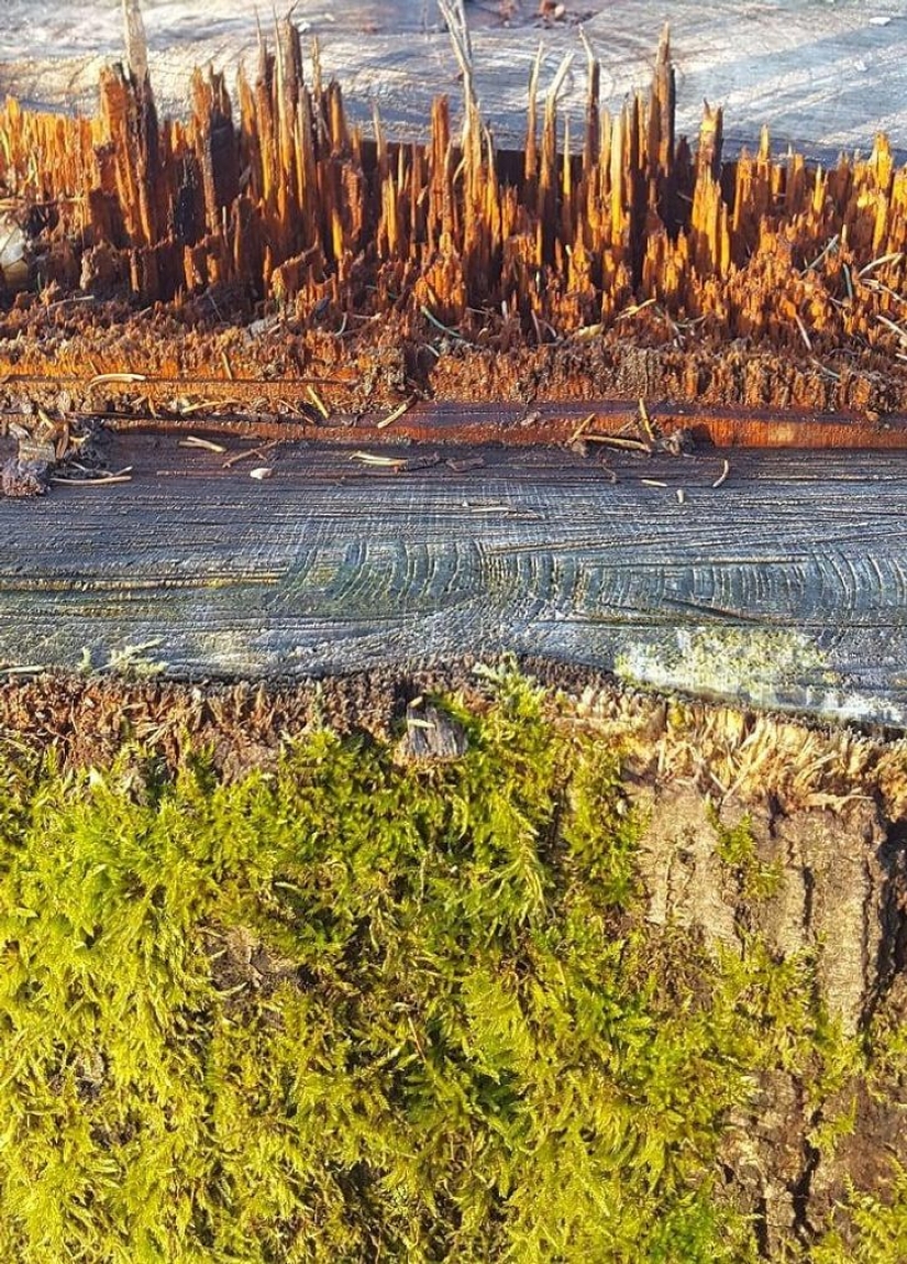 12 things that reveal their true nature in a couple of moments