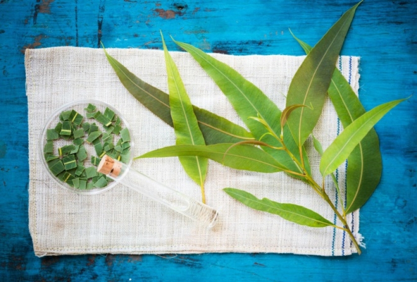 12 trucos de vida directamente desde Asia