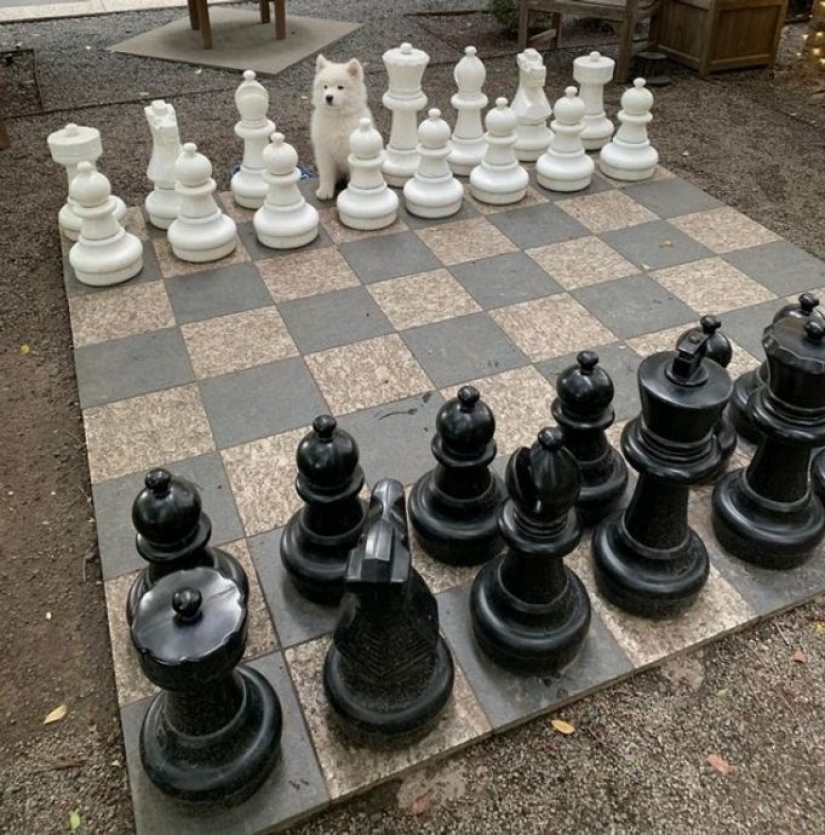 13 fotos garantizadas para poner una sonrisa en tu rostro 13 fotos garantizadas para poner una sonrisa en tu rostro