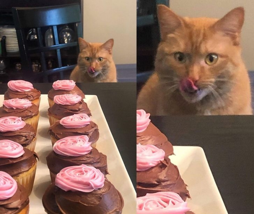 13 fotos garantizadas para poner una sonrisa en tu rostro 13 fotos garantizadas para poner una sonrisa en tu rostro