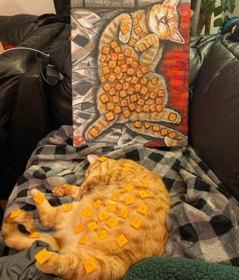 13 fotos garantizadas para poner una sonrisa en tu rostro 13 fotos garantizadas para poner una sonrisa en tu rostro