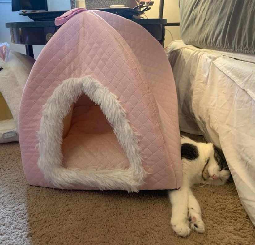 13 fotos garantizadas para poner una sonrisa en tu rostro 13 fotos garantizadas para poner una sonrisa en tu rostro