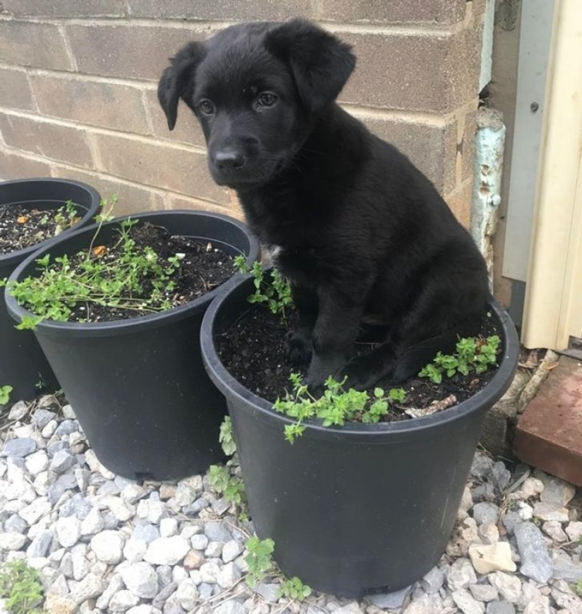 13 fotos garantizadas para poner una sonrisa en tu rostro 13 fotos garantizadas para poner una sonrisa en tu rostro