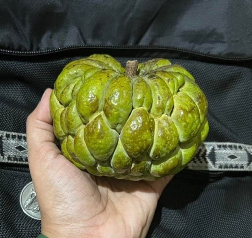 13 people shared their findings, which eventually became startling discoveries