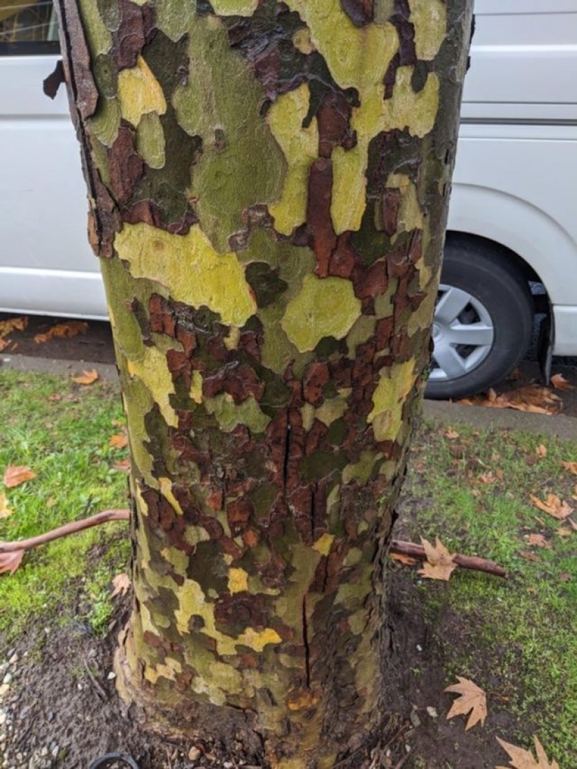 13 people shared their findings, which eventually became startling discoveries