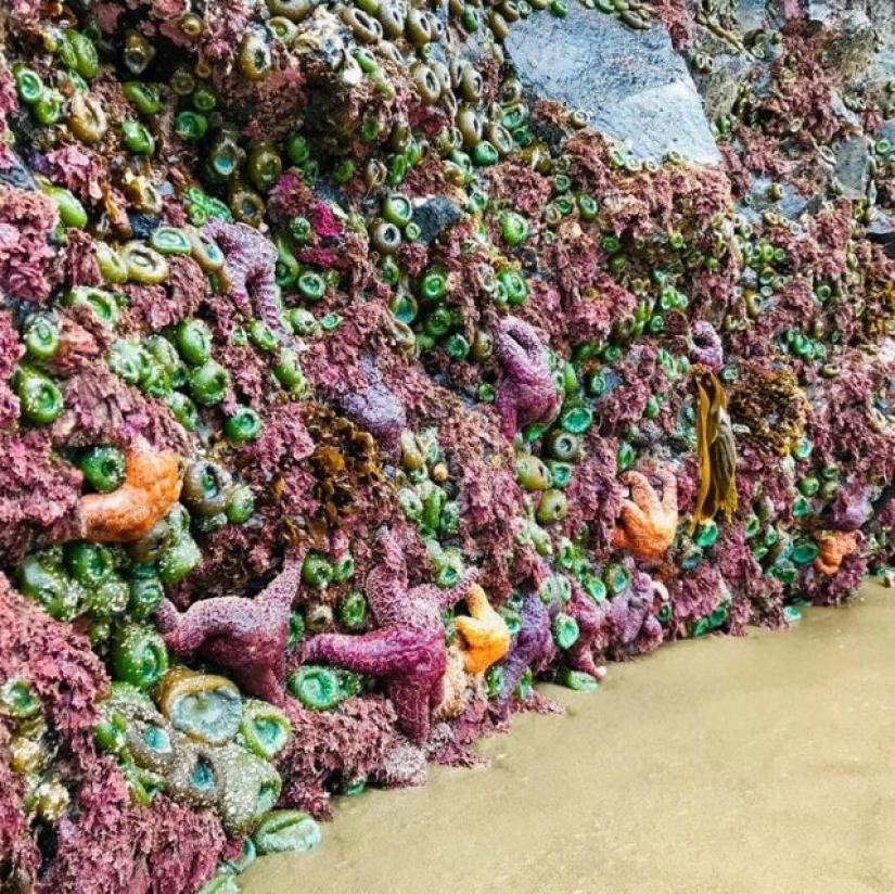 13 people shared their findings, which eventually became startling discoveries