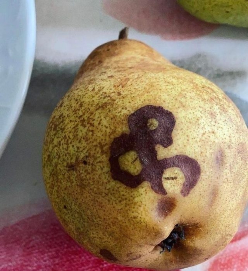 13 people shared their findings, which eventually became startling discoveries