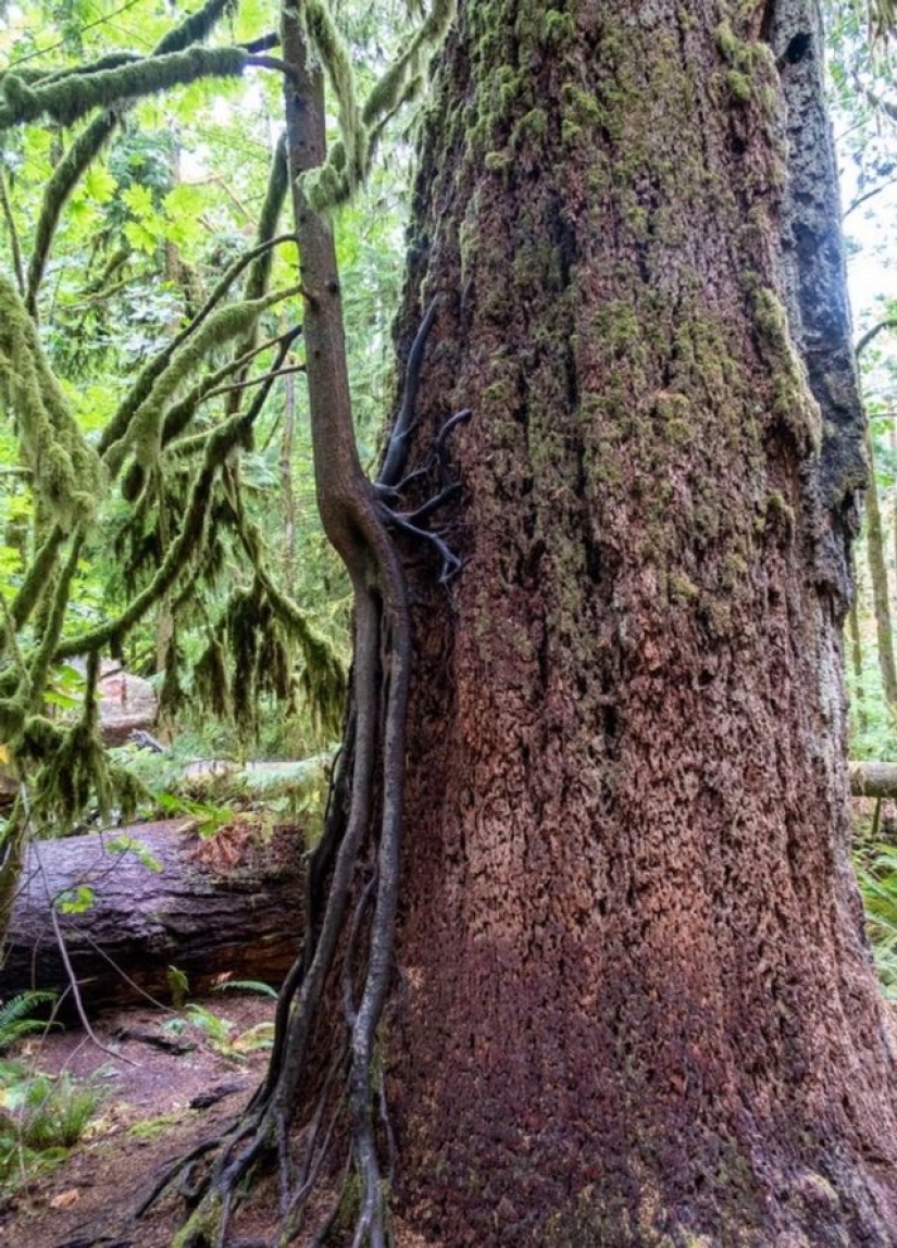 13 people shared their findings, which eventually became startling discoveries