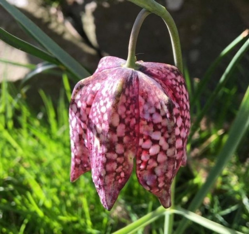 13 personas compartieron sus hallazgos, que eventualmente se convirtieron en descubrimientos sorprendentes