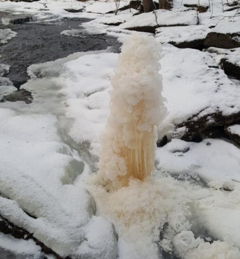 13 personas compartieron sus hallazgos, que eventualmente se convirtieron en descubrimientos sorprendentes