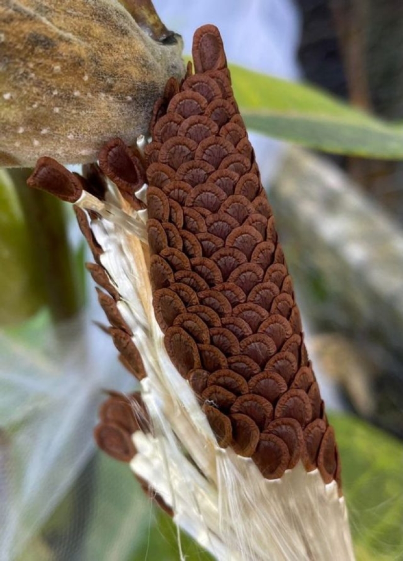 13 personas compartieron sus hallazgos, que eventualmente se convirtieron en descubrimientos sorprendentes