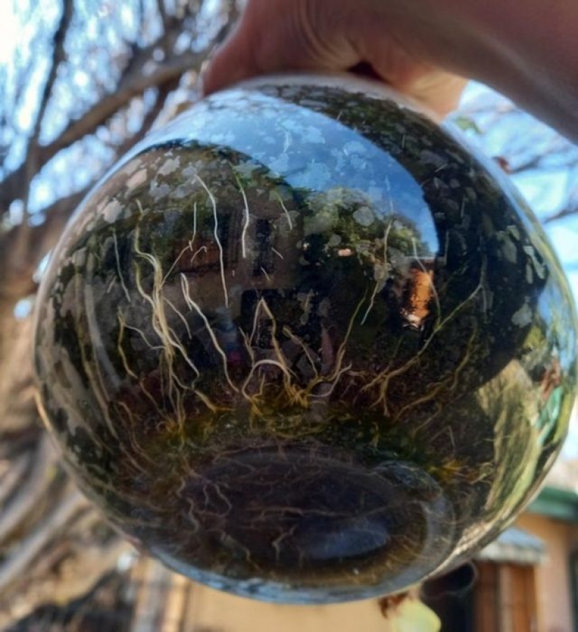 13 personas compartieron sus hallazgos, que eventualmente se convirtieron en descubrimientos sorprendentes