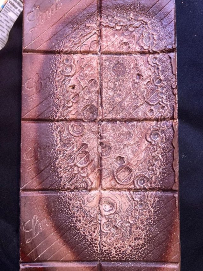 13 personas compartieron sus hallazgos, que eventualmente se convirtieron en descubrimientos sorprendentes