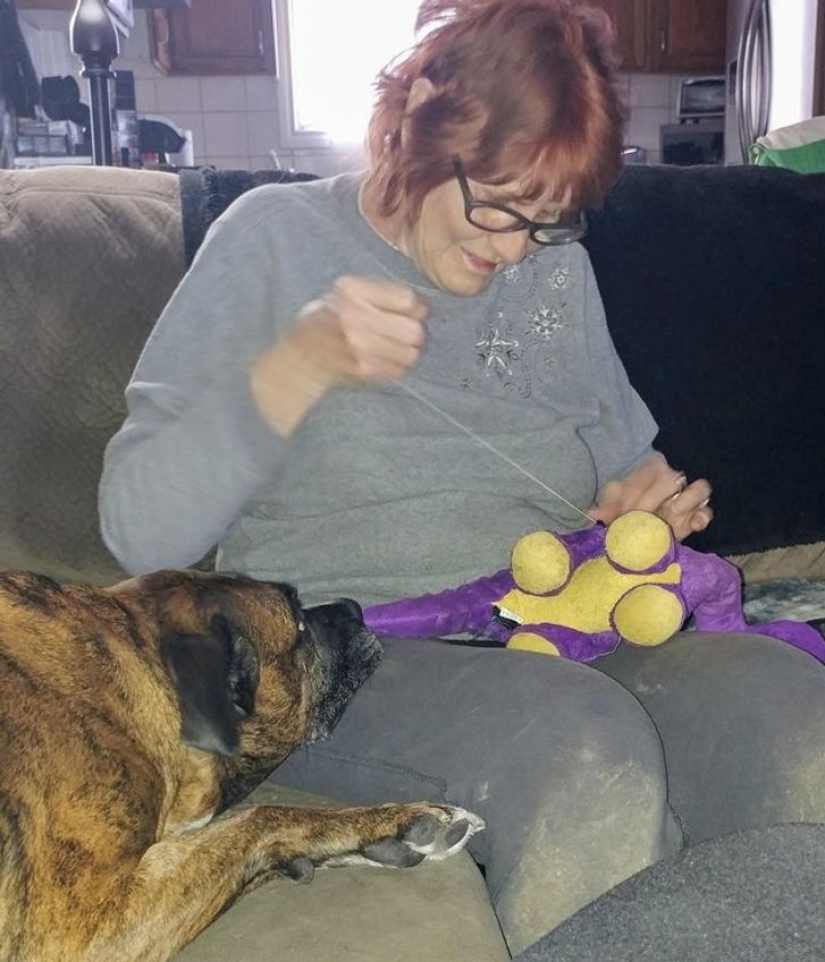 13 photos guaranteed to put a smile on your face 13 photos guaranteed to put a smile on your face